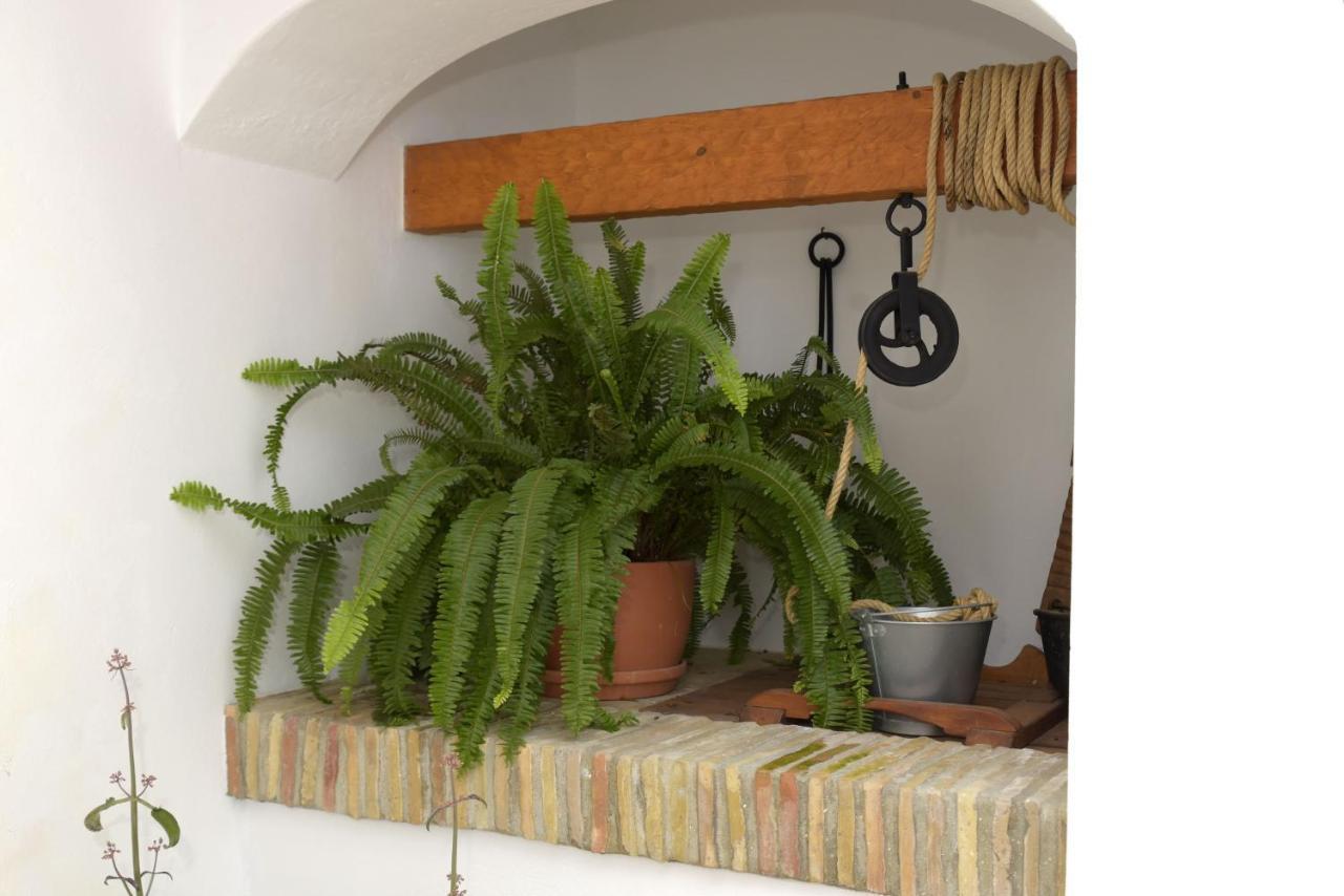 Casa Arbonaida Appartement Vejer de la Frontera Buitenkant foto